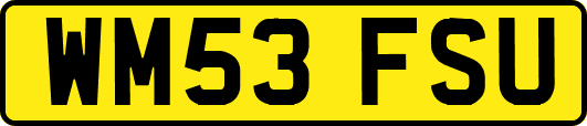 WM53FSU