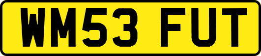 WM53FUT