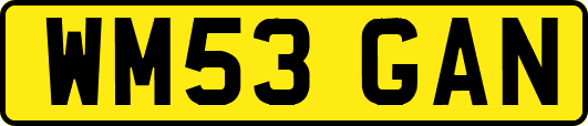 WM53GAN