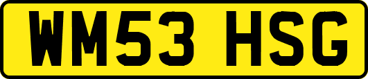 WM53HSG