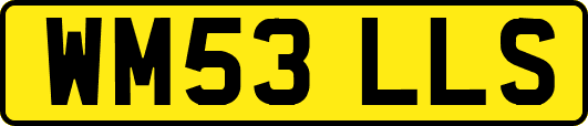 WM53LLS
