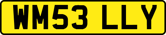 WM53LLY