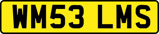 WM53LMS