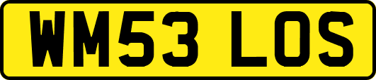 WM53LOS