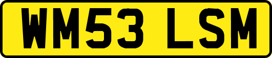 WM53LSM