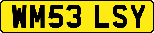 WM53LSY