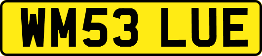WM53LUE