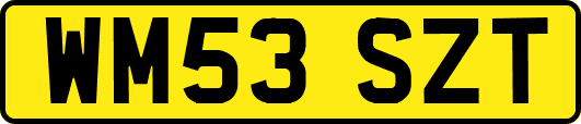 WM53SZT