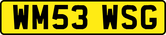 WM53WSG
