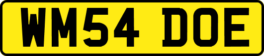 WM54DOE