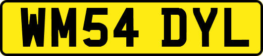 WM54DYL