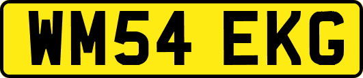 WM54EKG