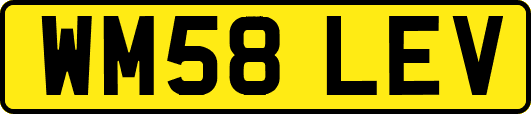 WM58LEV