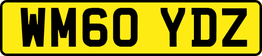 WM60YDZ