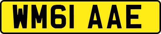 WM61AAE