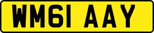 WM61AAY