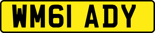 WM61ADY