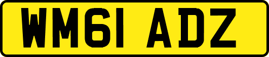 WM61ADZ