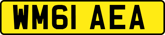 WM61AEA