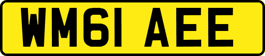 WM61AEE