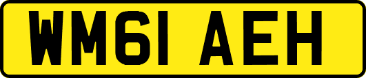 WM61AEH