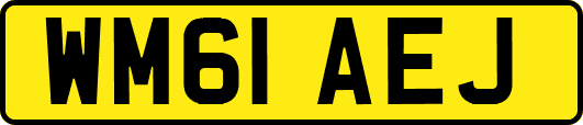 WM61AEJ