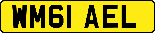 WM61AEL