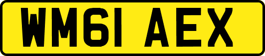 WM61AEX