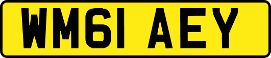 WM61AEY