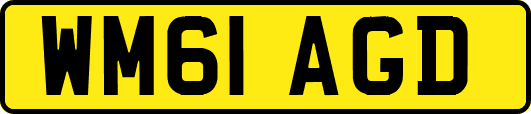 WM61AGD