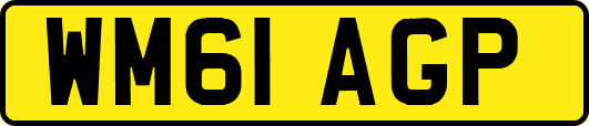 WM61AGP
