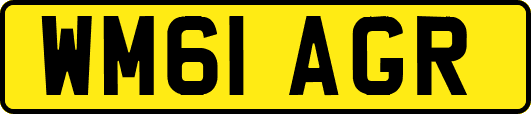 WM61AGR