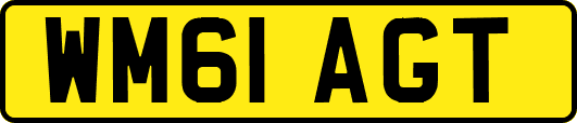 WM61AGT