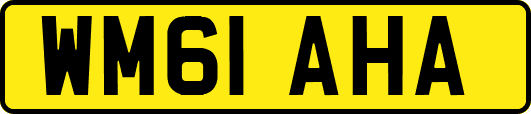 WM61AHA