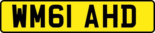 WM61AHD