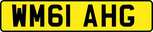 WM61AHG