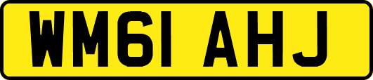 WM61AHJ
