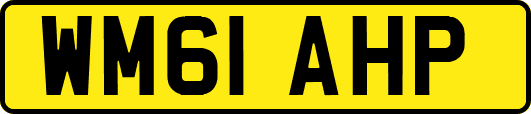 WM61AHP