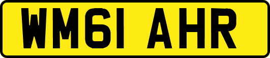 WM61AHR