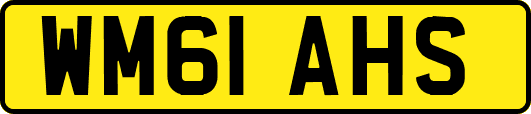 WM61AHS