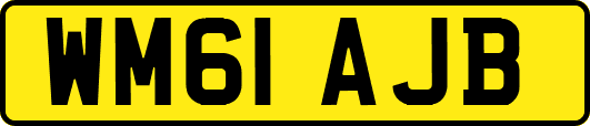 WM61AJB