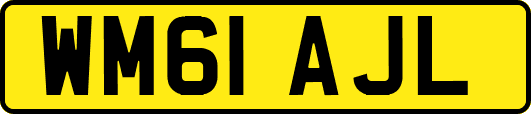 WM61AJL