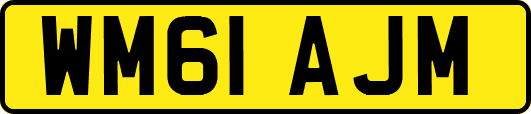 WM61AJM