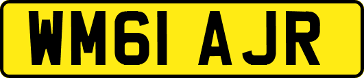 WM61AJR