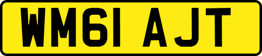 WM61AJT
