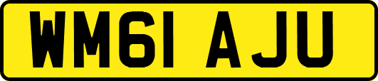 WM61AJU