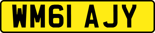 WM61AJY