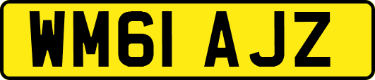 WM61AJZ