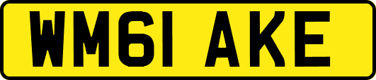 WM61AKE