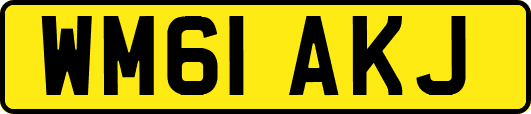 WM61AKJ